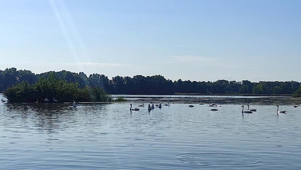 Ferienwohnung Am Olbasee Malschwitz Exterior photo